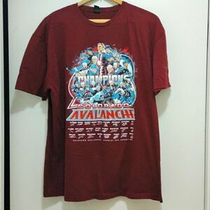 Colorado Avalanche 2022 Stanley Cup Champions T-Shirt